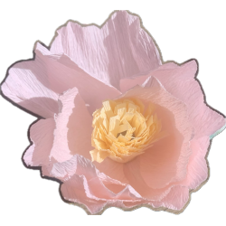 Lyserød crepepairs blomst