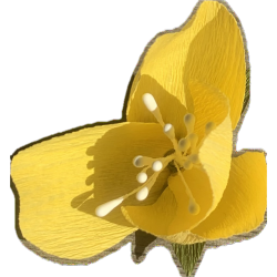 Lille gul crepe papirs blomst
