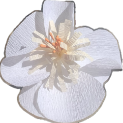 Hvid crepepapirs blomst.